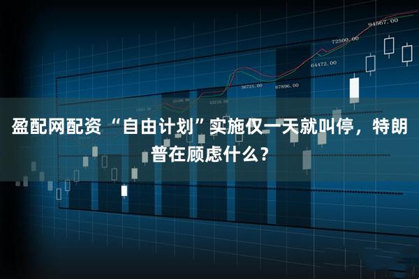 盈配网配资 “自由计划”实施仅一天就叫停,特朗普在顾虑什么?