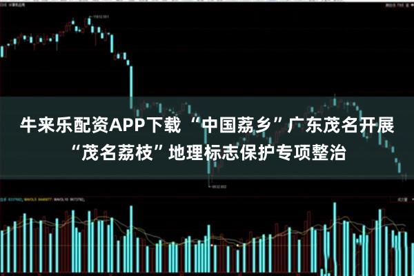 牛来乐配资APP下载 “中国荔乡”广东茂名开展“茂名荔枝”地理标志保护专项整治
