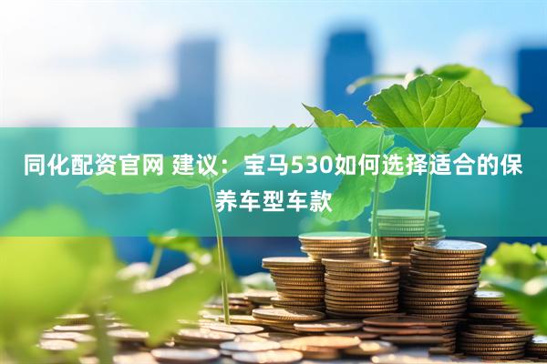 同化配资官网 建议：宝马530如何选择适合的保养车型车款